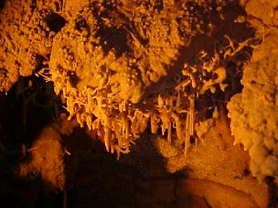 Shasta Caverns Cave Spagetti: