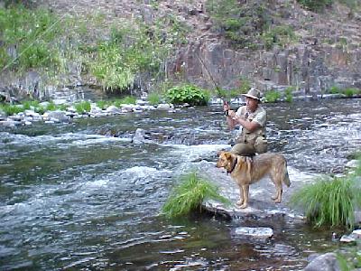 Shasta and customer bringing one in: