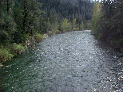 Simms on the Upper Sacramento River: 