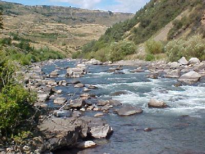 Patterson in the Canyon: 