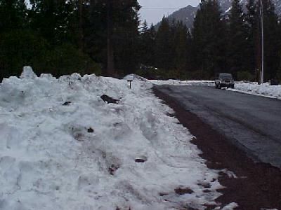 Snow after Christmas Storms 2003: 
