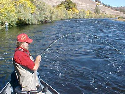 Tom Stienstra on the Klamath 2003: