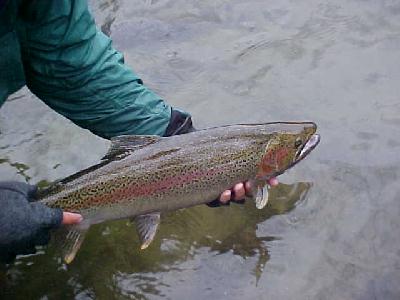 Trinity 2003 Jim holding his catch: 