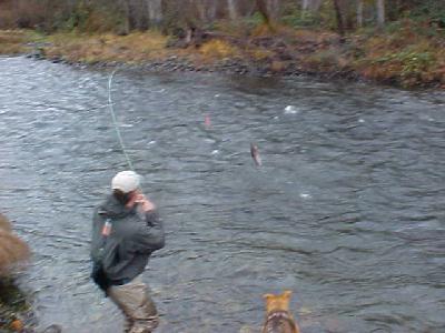 Guide Mike Hibbard one on!: 