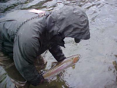 Trinity Mike's fish Dec 2003: 