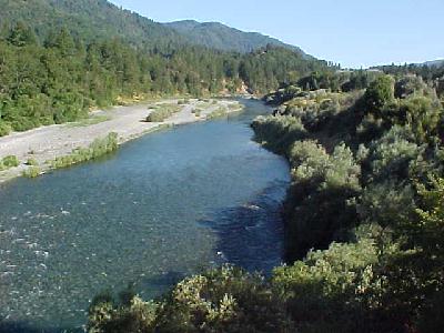 Trinity near Willow Creek: