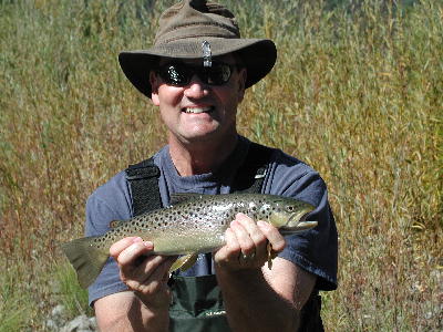 Trinity 2003 Brown trout: