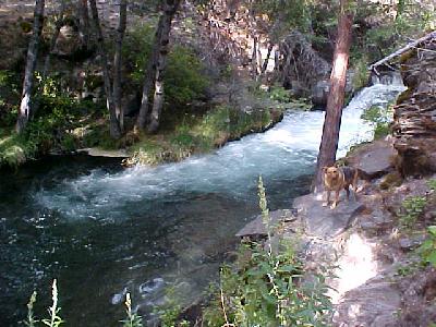 Upper Hat Creek Sept 2003: