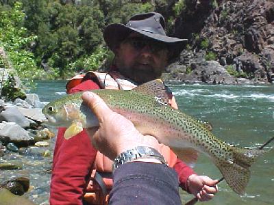 Tom Stienstra SF Chronical and trout: 