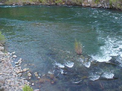 Uper Sac Lower River May 2003: 