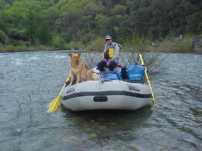 Upper Sac Matt Hill and Shasta Trout: 