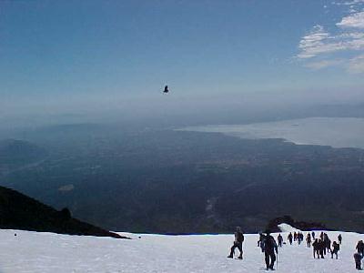 Volcano Villarrica and three Condors flying over head: 