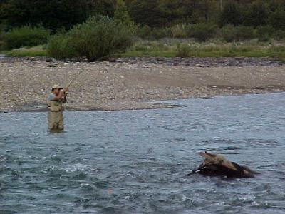 JUAN RAMOS WITH A FISH ON!: