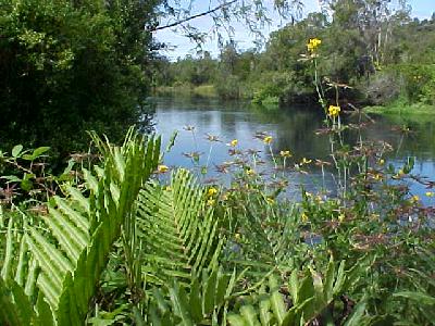 Maullin Garden: 