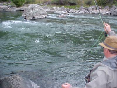 Pat set the hook!: 