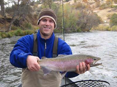 Todd Nov 2003: 
