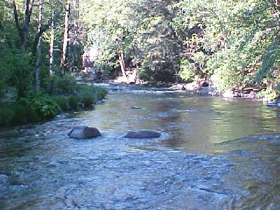 Upper Sac Larry Green's Favorite: 