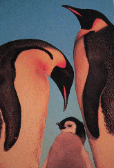 Pinguin informatie sites