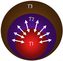 Identity pic 3a: 