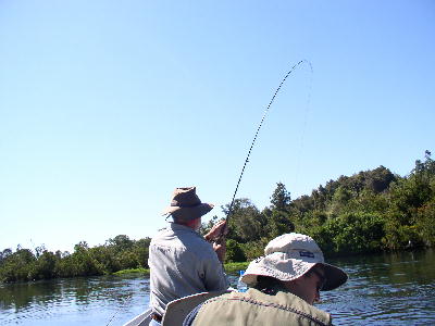 Tres on the Rio Maullin: 