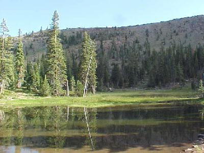 an eddies meadow pond: