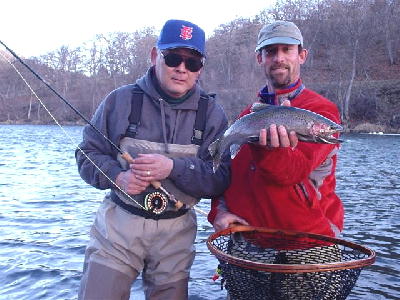 Gene fish: 