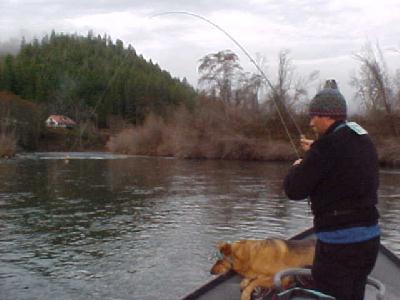 Matt fish Klamath: 