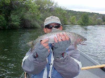 Jack Trout 2004 k: 