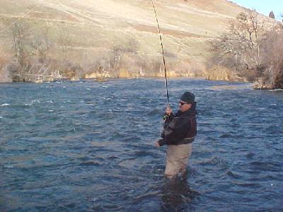 KLamath Chip on: 