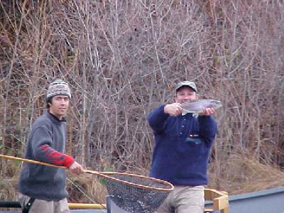 Dusty fish !: 