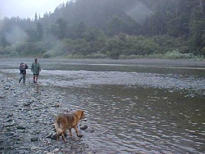 Jim and julie fish on!: