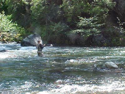 McCloud River April 2004 MRC: 