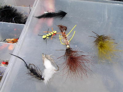 Flies M: 