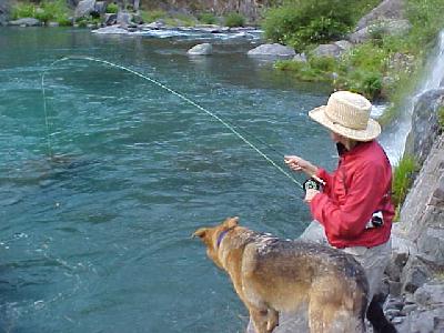 Fran fishing: