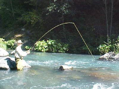 McCloud Ash Brown: