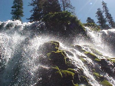 Middle Falls Moss:
