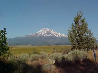 Mt Shasta High Desert: