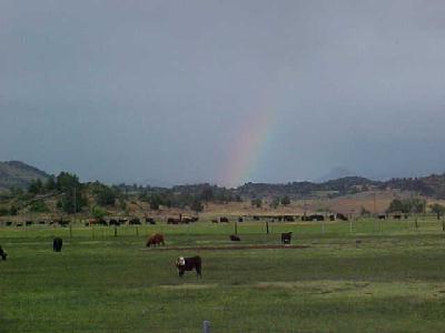Over the rainbow: 