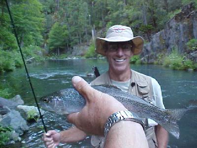 Mccloud Richard & trout: