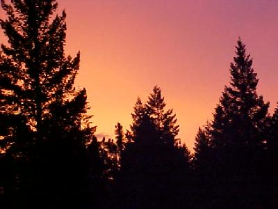Sun Burst 2004: 