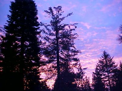 Sugar Sunrise!: 