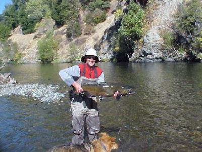 Tory salmon: