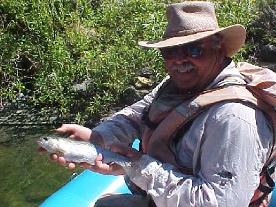 Grants fish: 
