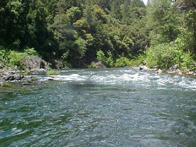 Upper Sac Pollard Canyon: 