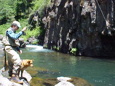 Upper Mccloud cliff hole: 
