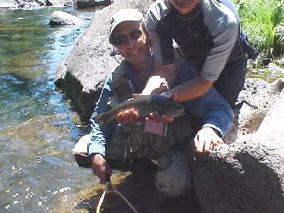 Upper Mc Fish: