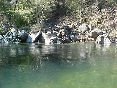 Upper Sac feeder 2004: 