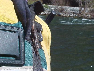 Upper Sac Stone: 