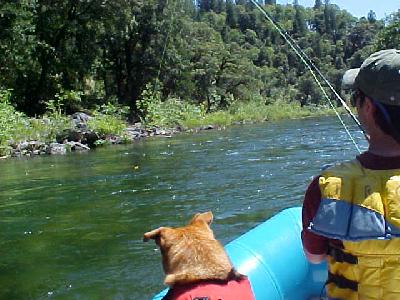 uSAC on the raft: