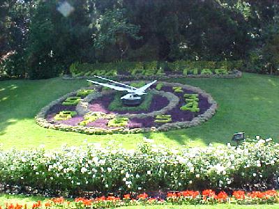 Flower Clock: